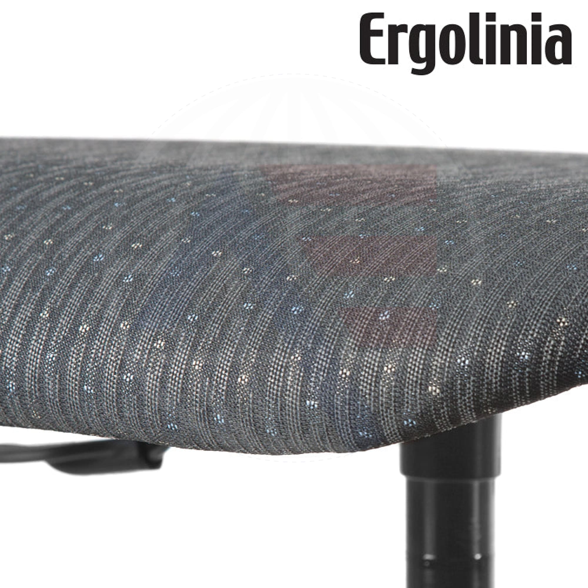 Ergolinia Evo2 Industrial Rotary Chair